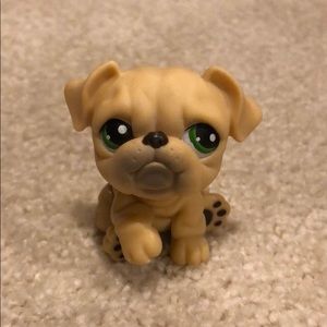 RARE LPS Bulldog #107